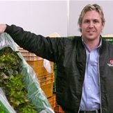 Gourmet Vegetables - QPI Gourmet Vegetables - QPI
