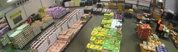 CTA Market Floor